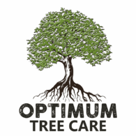 optimum tree care logo