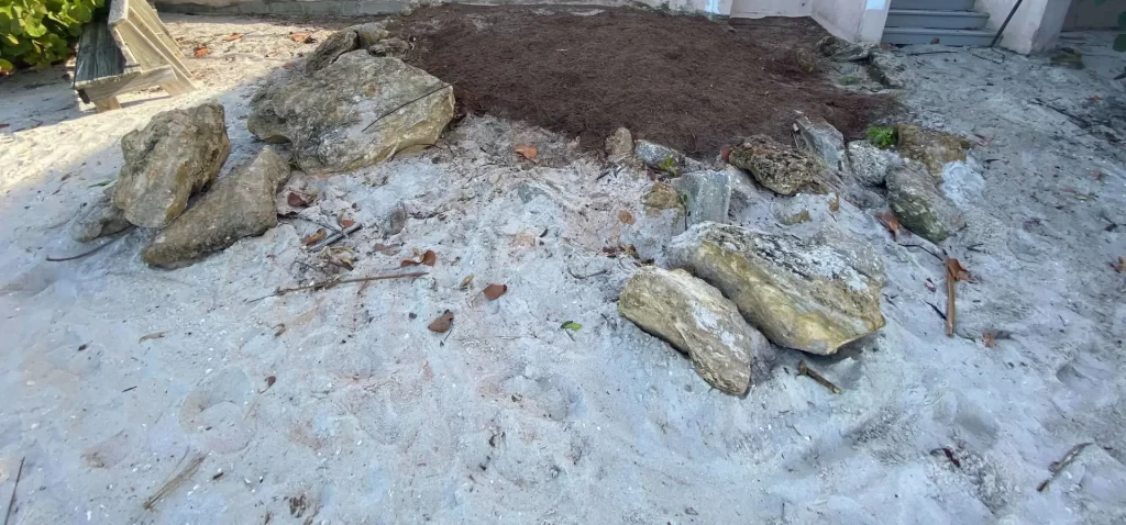 palm tree stump grinding vero beach, florida