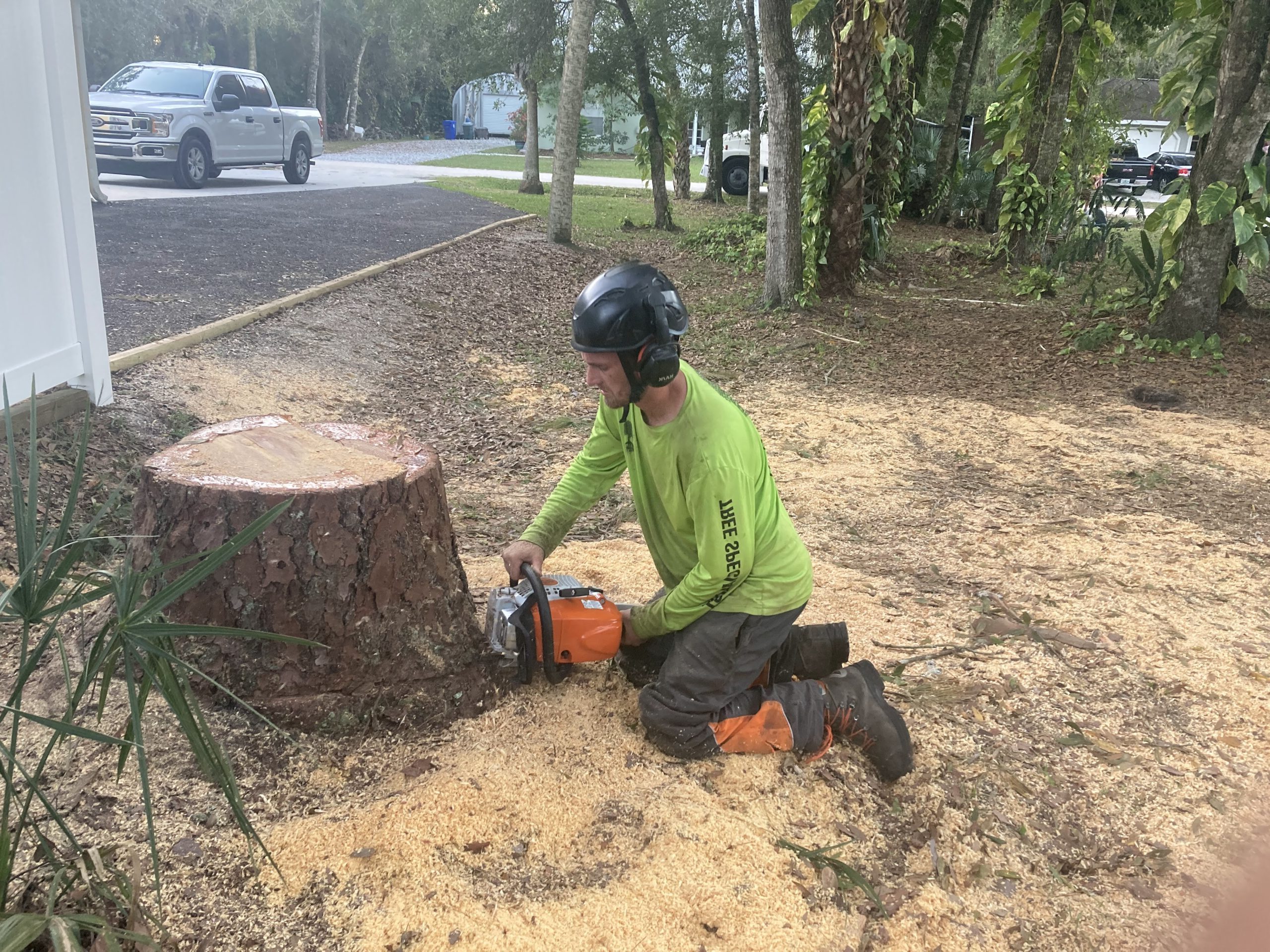 Stump Grinding - Optimum Tree Service