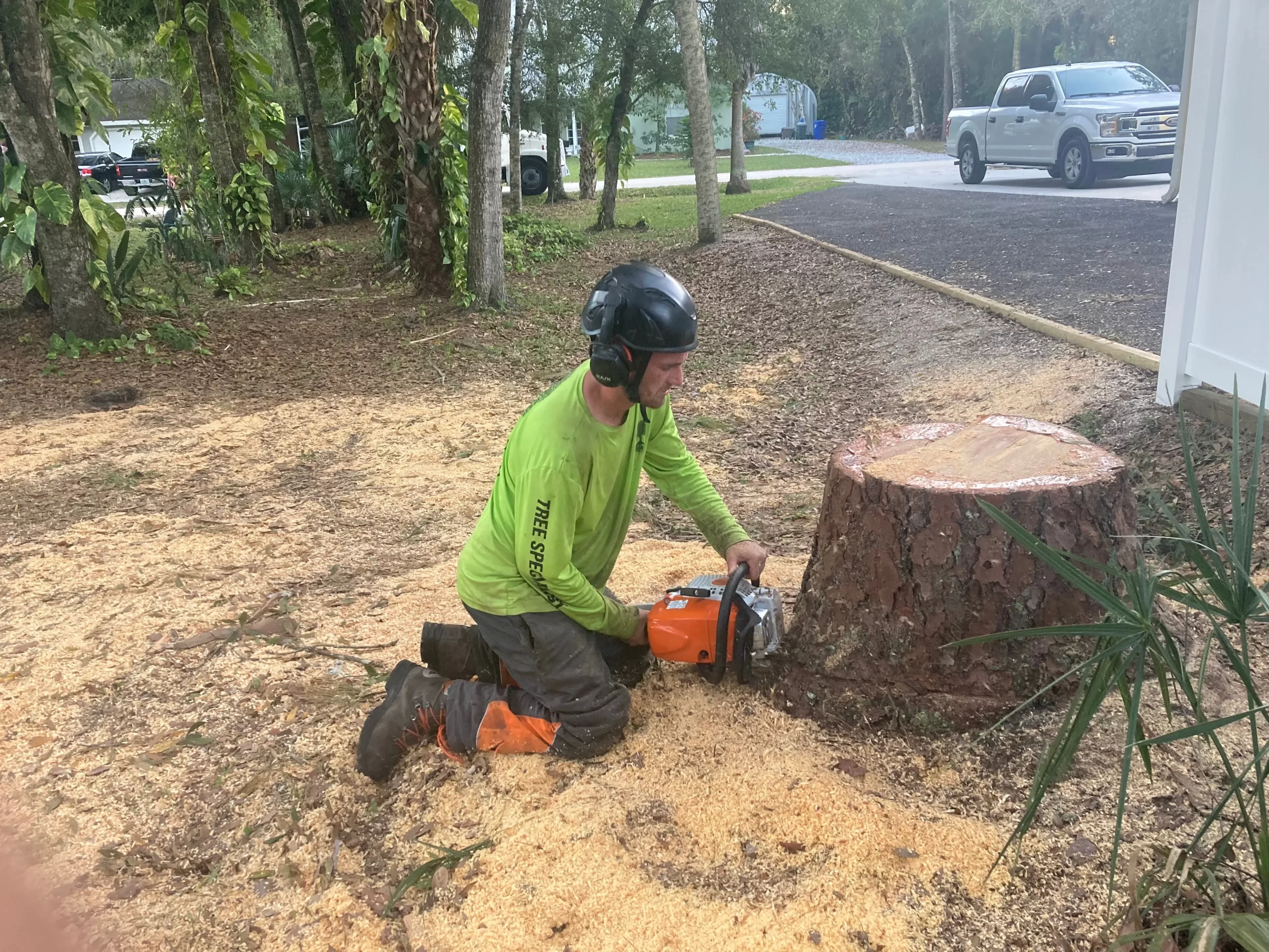Stump Grinding - Optimum Tree Service