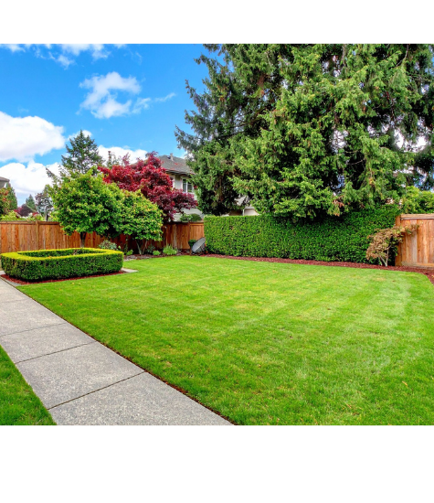 Fertilization Back yard