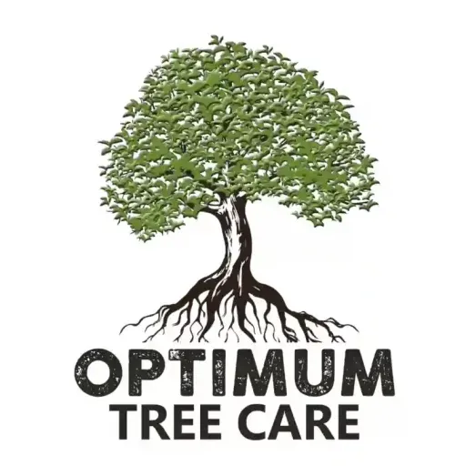logo of optimum tree care